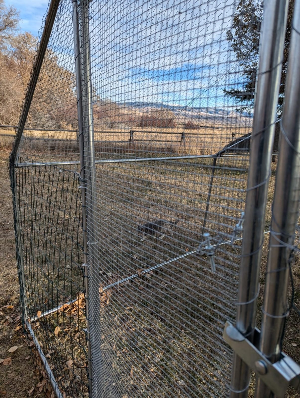 NUGRIART Large Metal Chicken Coop Walk-in Poultry Cage with Water-Resident and Anti-UV Cover Duck Rabbit Cat House Outdoor Chicken Run Pen with Spire Shaped Cage customer photo 1