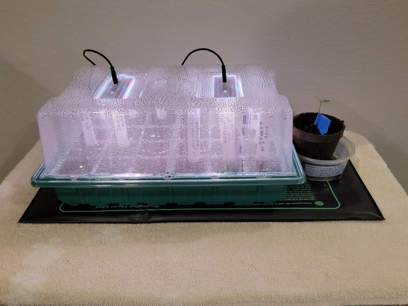 Seed Starter Trays with Grow Lights and Heat Mat, Plant Starting Kit 4 Timing Set Humidity Domes Heightened Lids for Small Mini Greenhouse Germination Seeds Growing Starting (6SET 6TRAY 72 SMALL CELL) customer photo 2