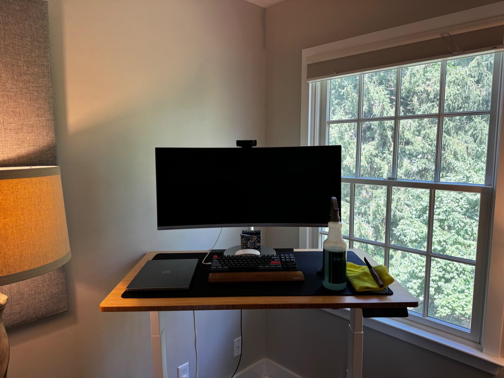Samsung LS49C954UAN customer photo 1