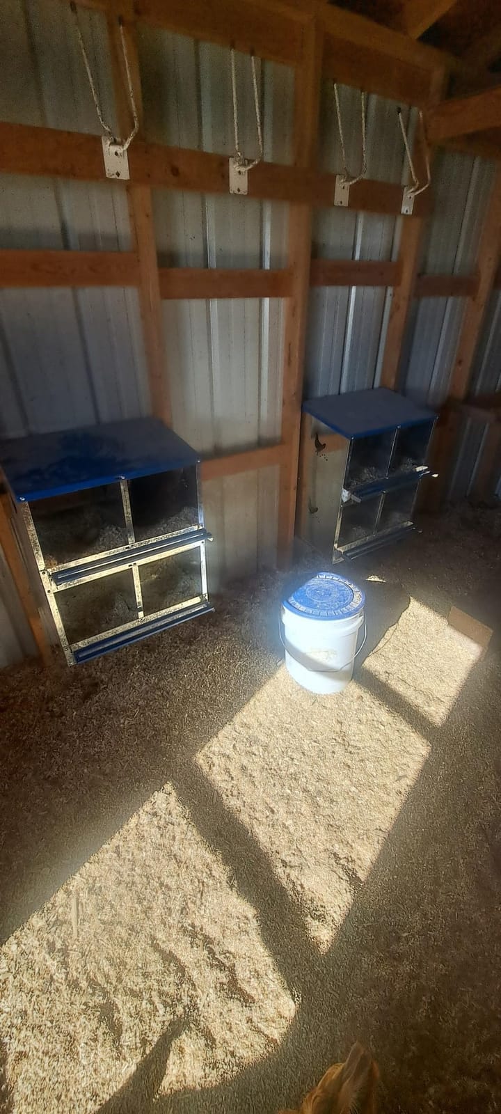 Chicken Nesting Box for Laying Eggs 3 Holes Metal Nest Box for Chicken Hens Ducks Poultry Protect Eggs Chicken Coop Easy Egg Collection Wall Mount Nest Box for Chicken Coop customer photo 2