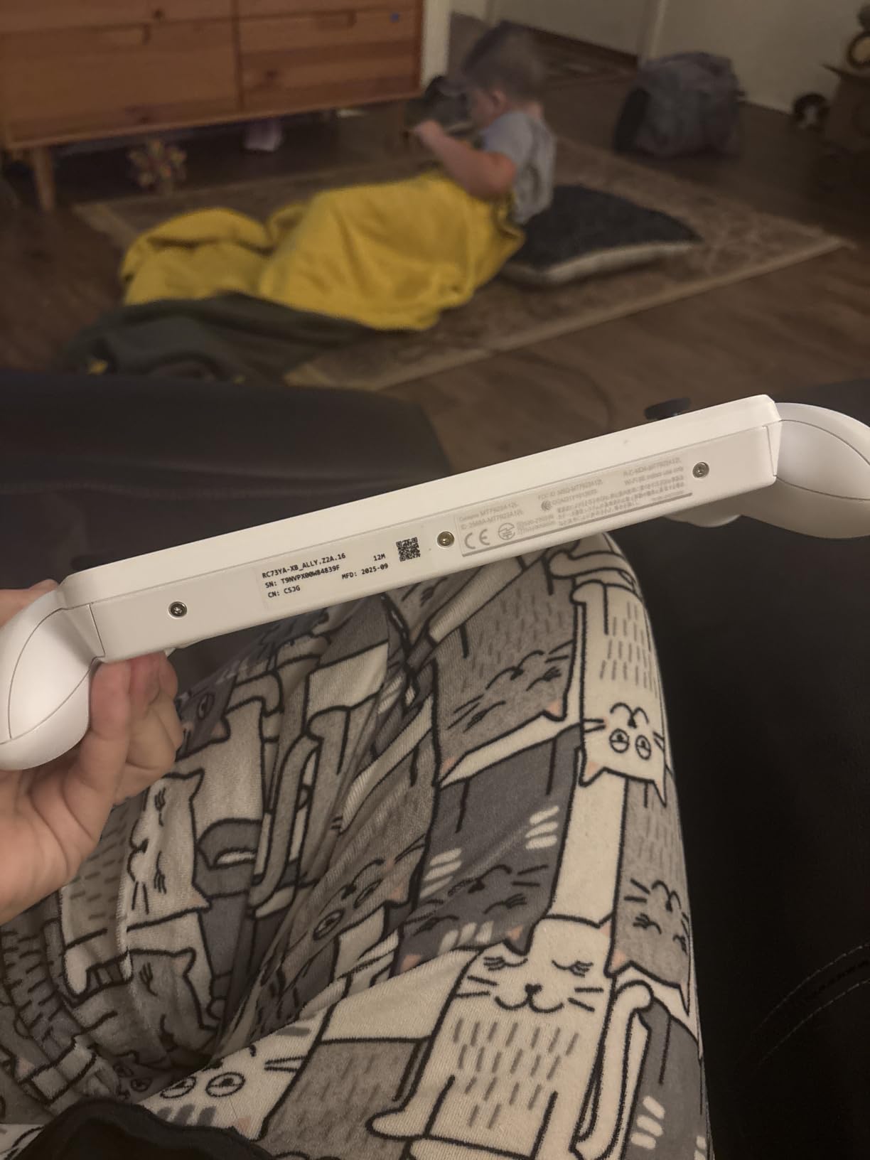 ROG Xbox Ally customer photo 2