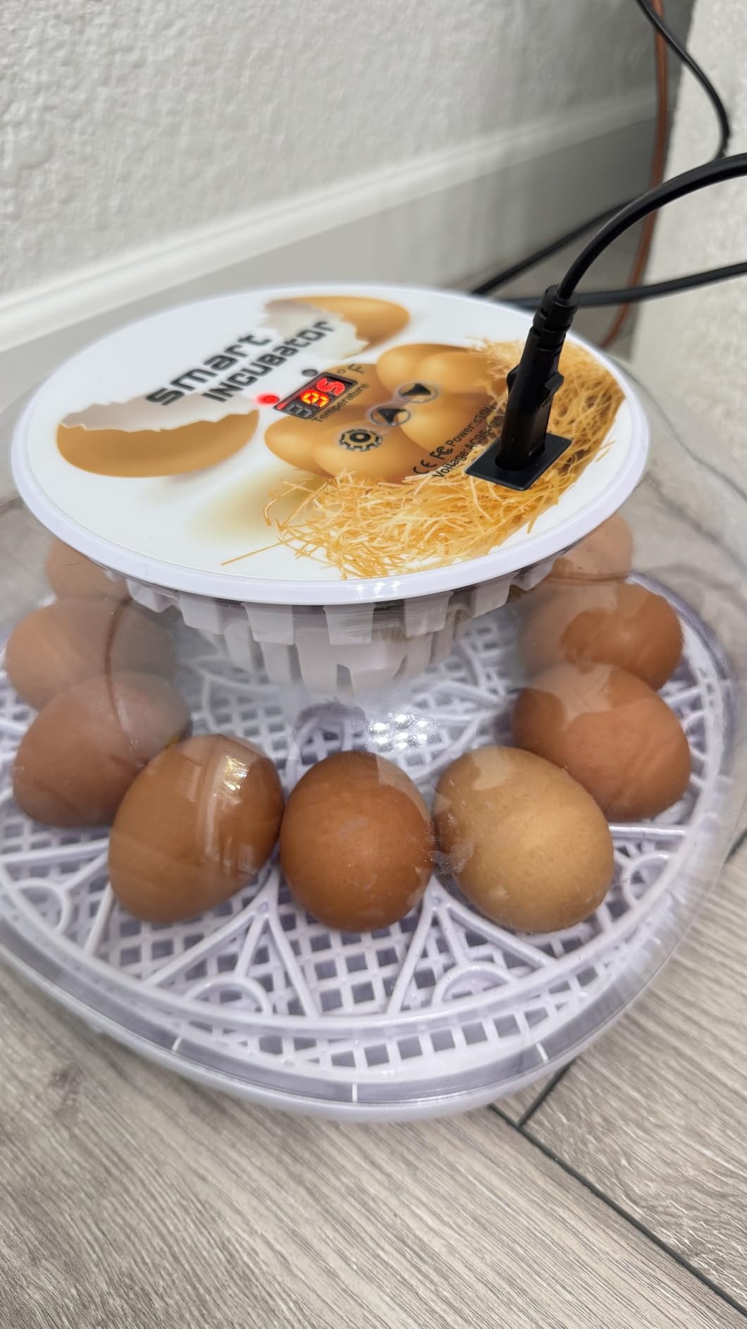 Egg Incubator for Hatching Chicks, Automatic Egg Turner Holds 12 Eggs customer photo 1