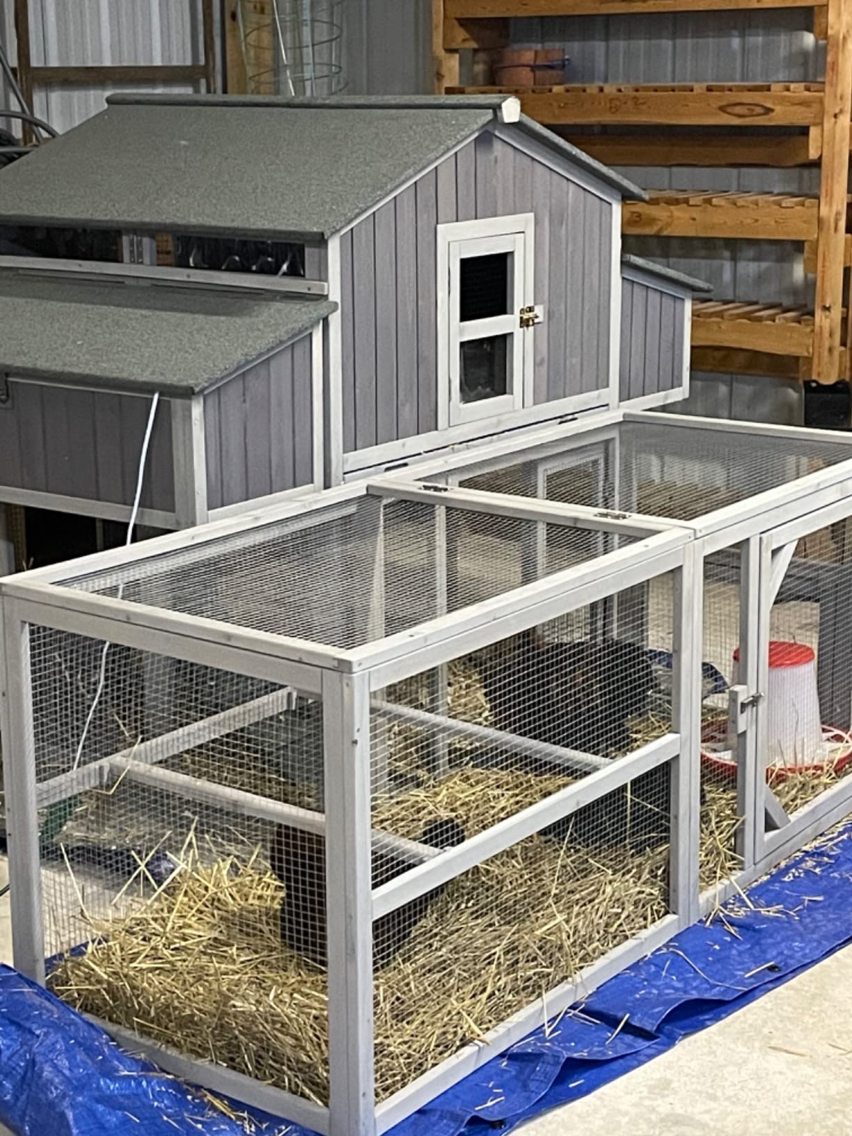 Aivituvin Chicken Coop Double Folding Fir Wood Chicken House with Large Nesting Box Poultry Cage Upgrade with Strong Iron Frame, Durable & Waterproof for 4-6 Hens Duck Coop customer photo 1