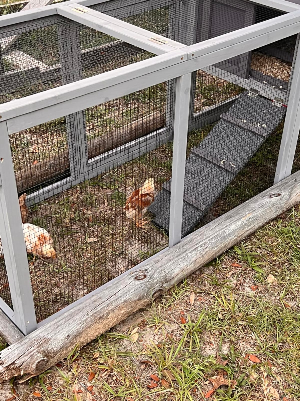 Mobile Chicken Coop for 6-8 Hens, All-Steel Frame Hen House with Wheels Portable Poultry Cage, Metal Run & Nesting Box Duck Coop Large customer photo 1