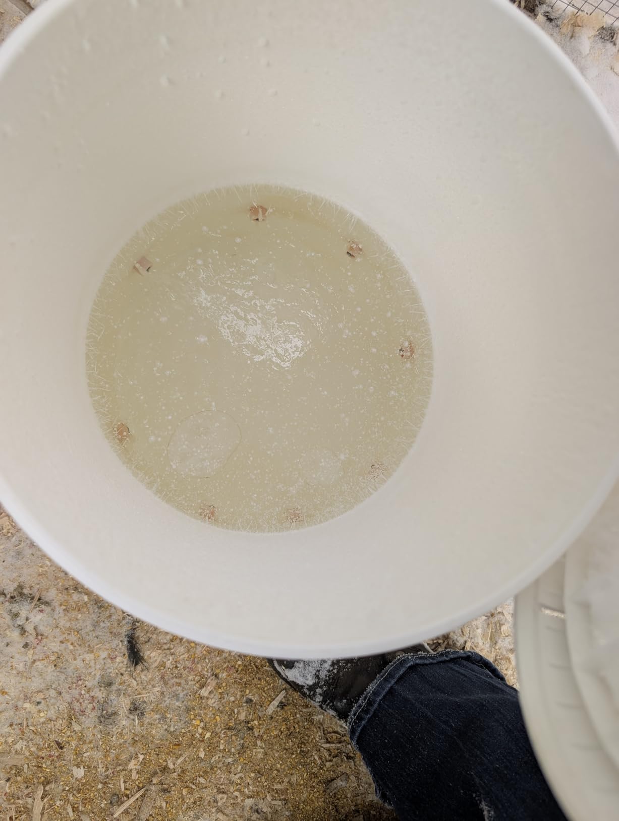 Chicken Water Heater Base for Winter, Heated Chicken Waterer 3 Gallon 125W customer photo 2
