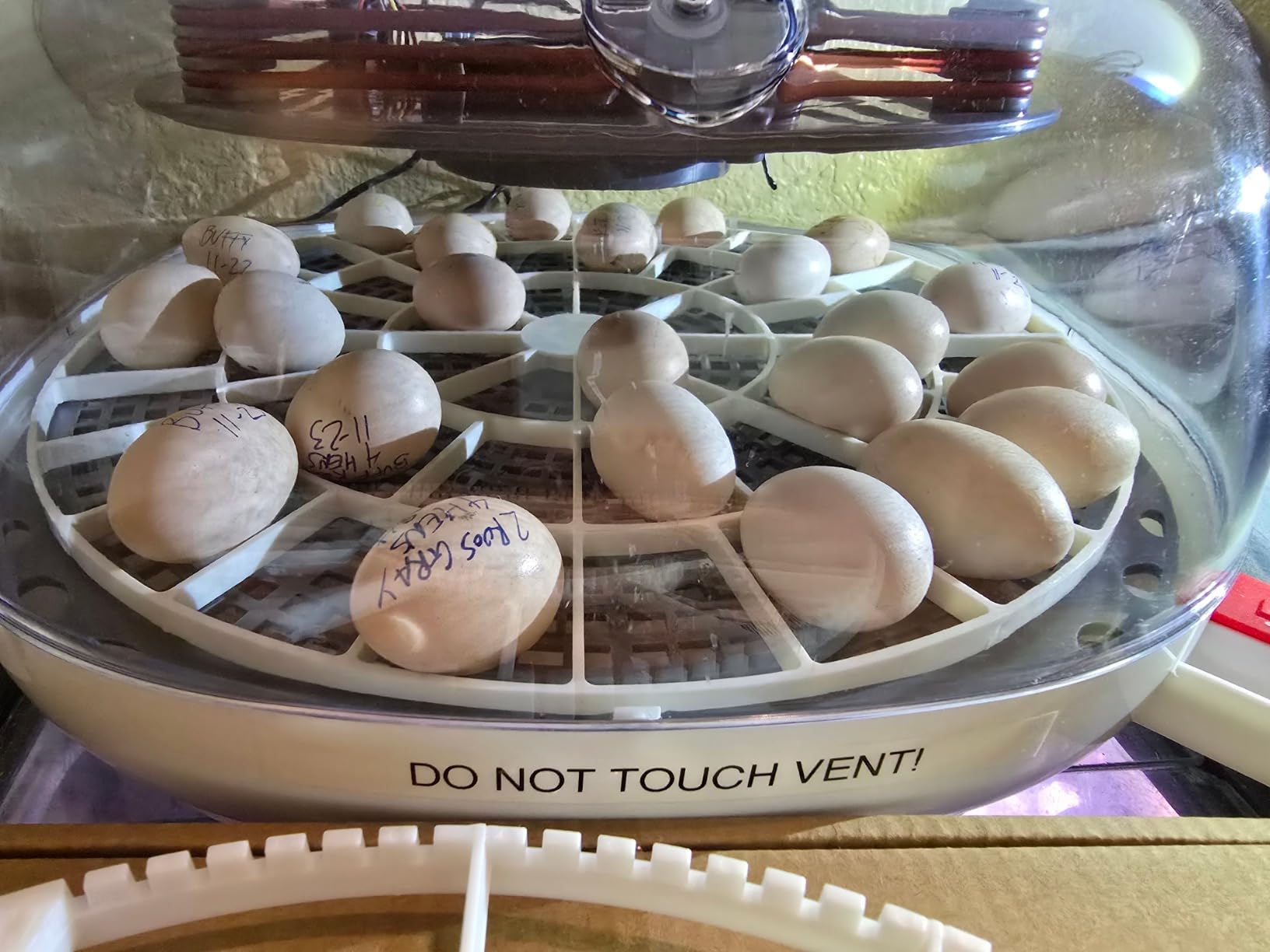 Small Quail/Bird Egg Trays for Nurture Right 360 Egg Incubator ,Small (Quail/Bird) - 48 Eggs customer photo 1