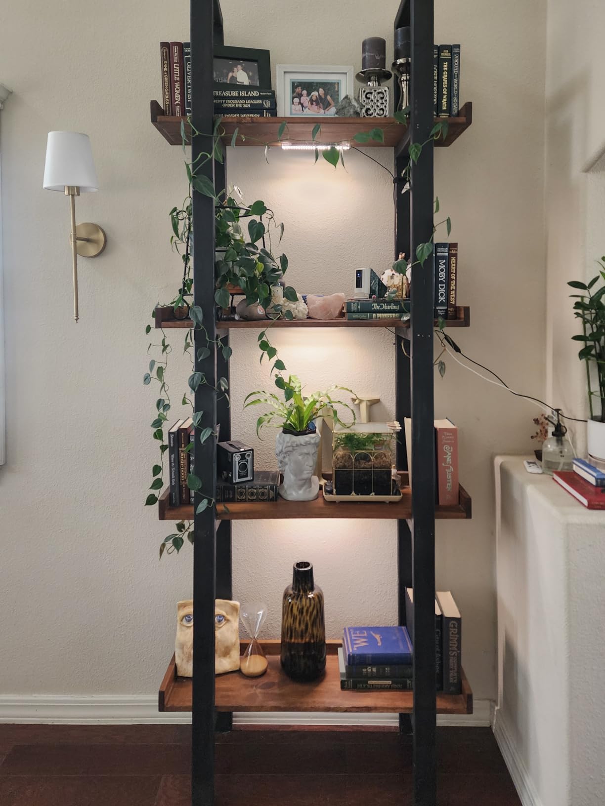 LED Grow Light Strips, Grow Lights for Indoor Plants Full Spectrum 3000K, Plant Light Bar with 3/9/12H Timer, 10 Dimmable Levels for Seedling Succulent,Best Match for Plant Shelf(3 Head×2 Pack) customer photo 1