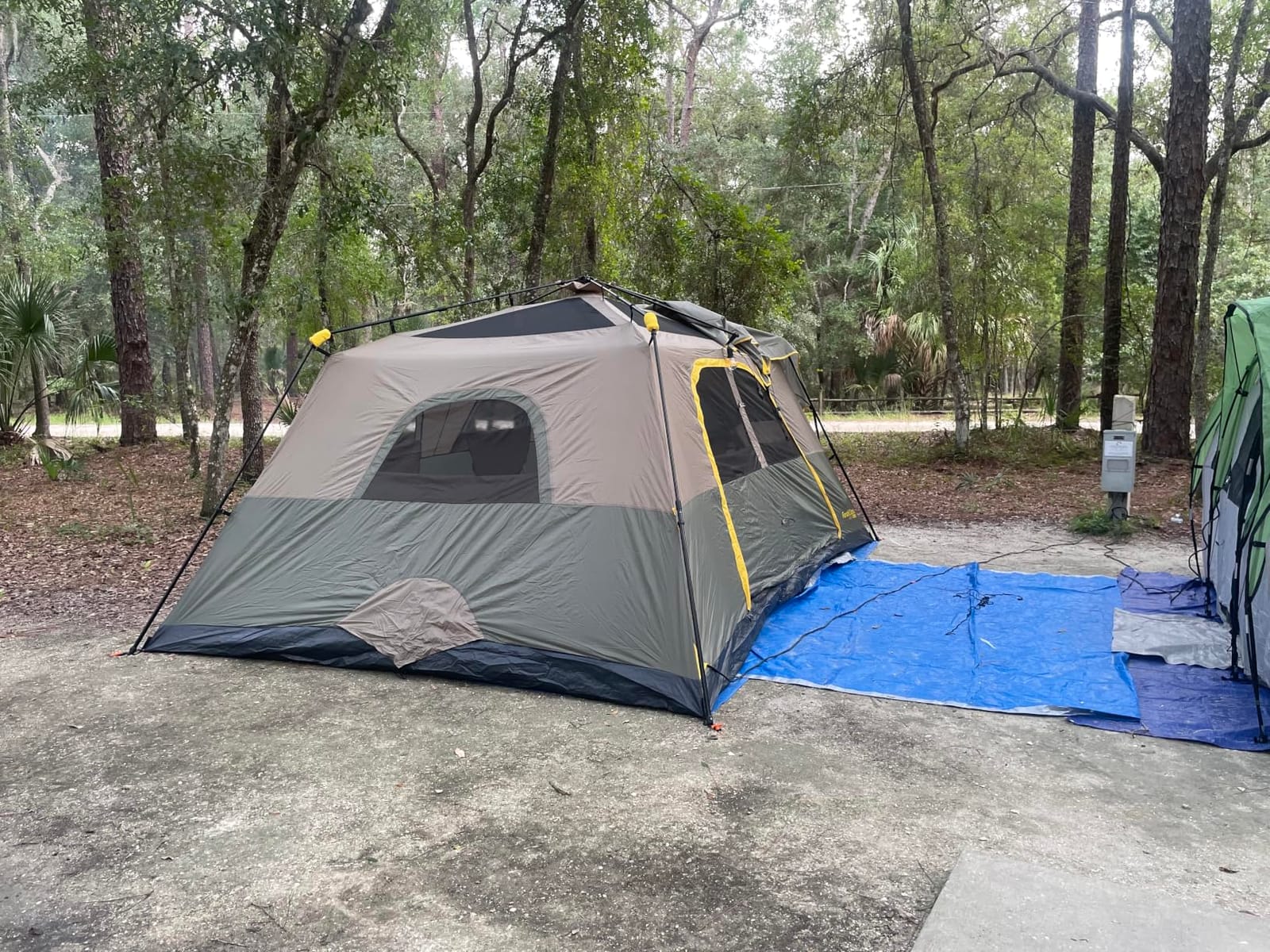 FanttikOutdoor Camping Tent 4/6/8/10 Person Instant Cabin Tent Setup in 60 Seconds with Rainfly & Windproof Portable with Carry Bag for Family Camping & Hiking, Upgraded Ventilation, Navy Blue customer photo 1