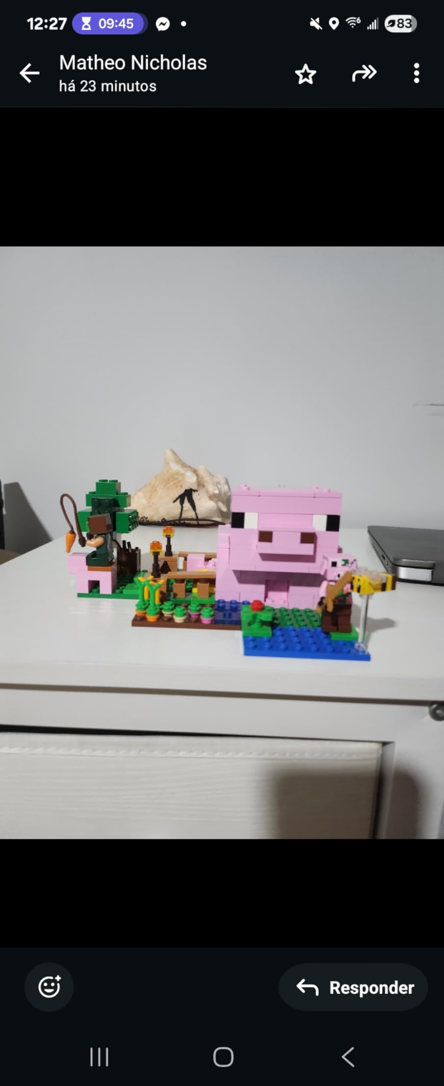 Minecraft Baby Pig House customer photo 2