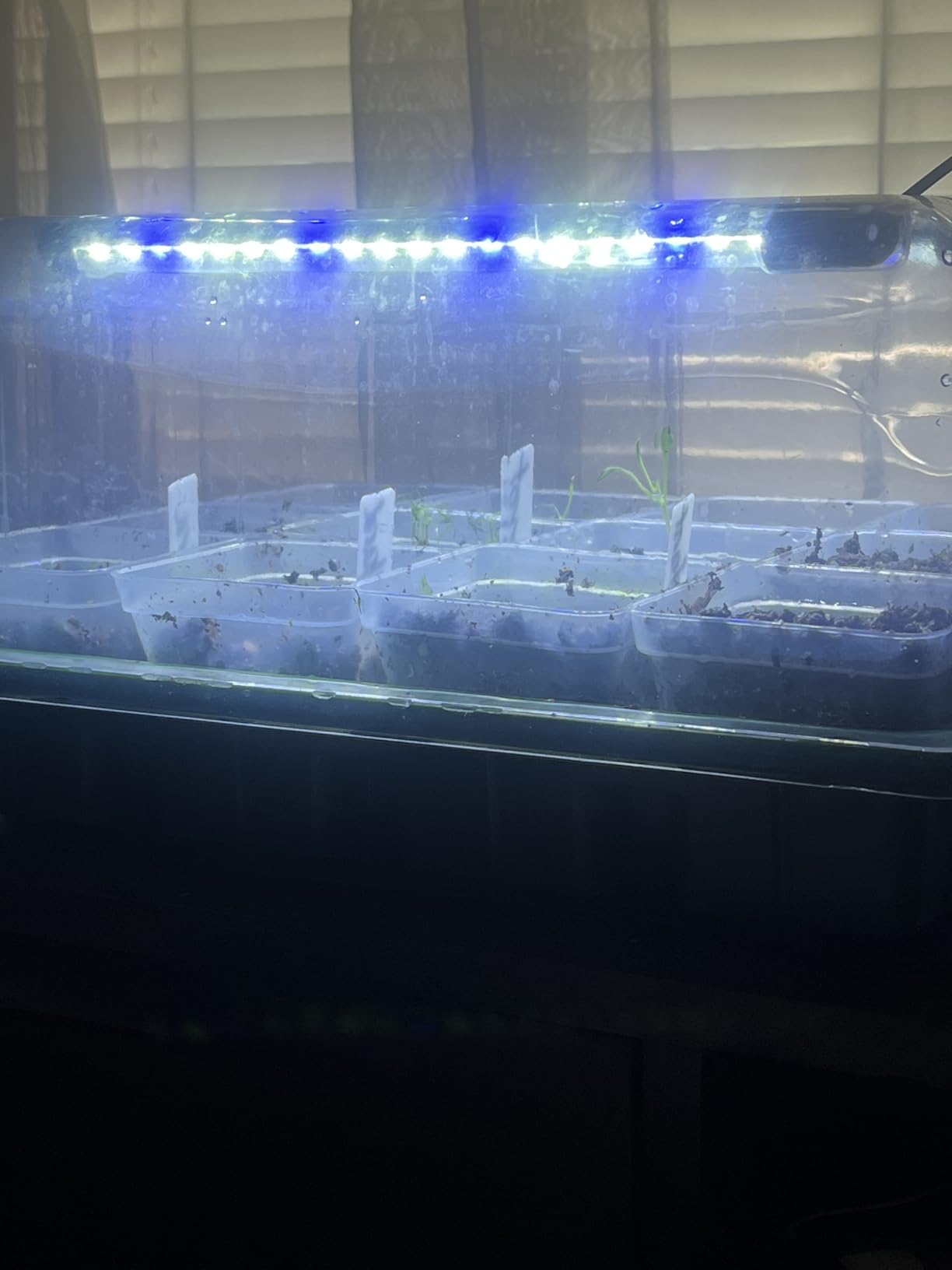 joyhalo 40 Cell Seed Starter Kit with Grow Light and Heating Mat customer photo 1