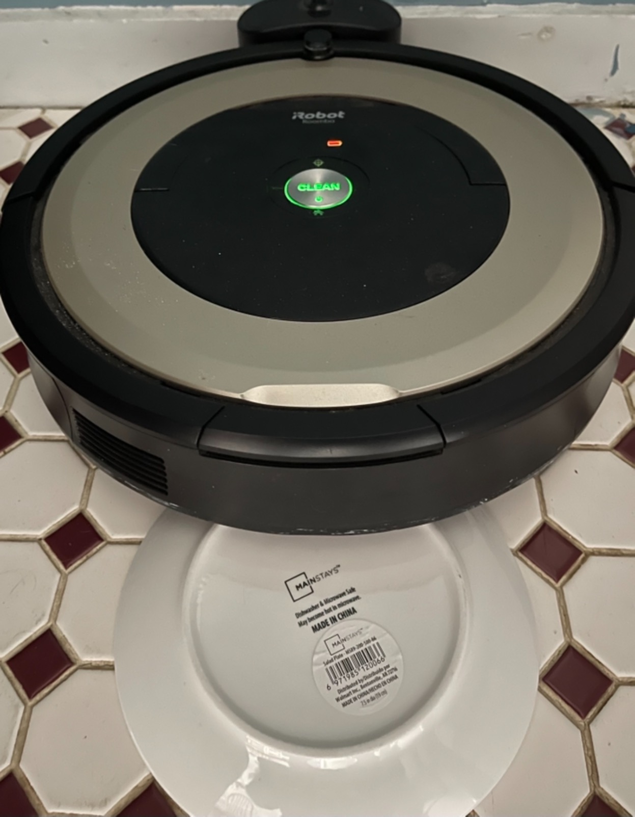 Roomba Plus 405 customer photo 2