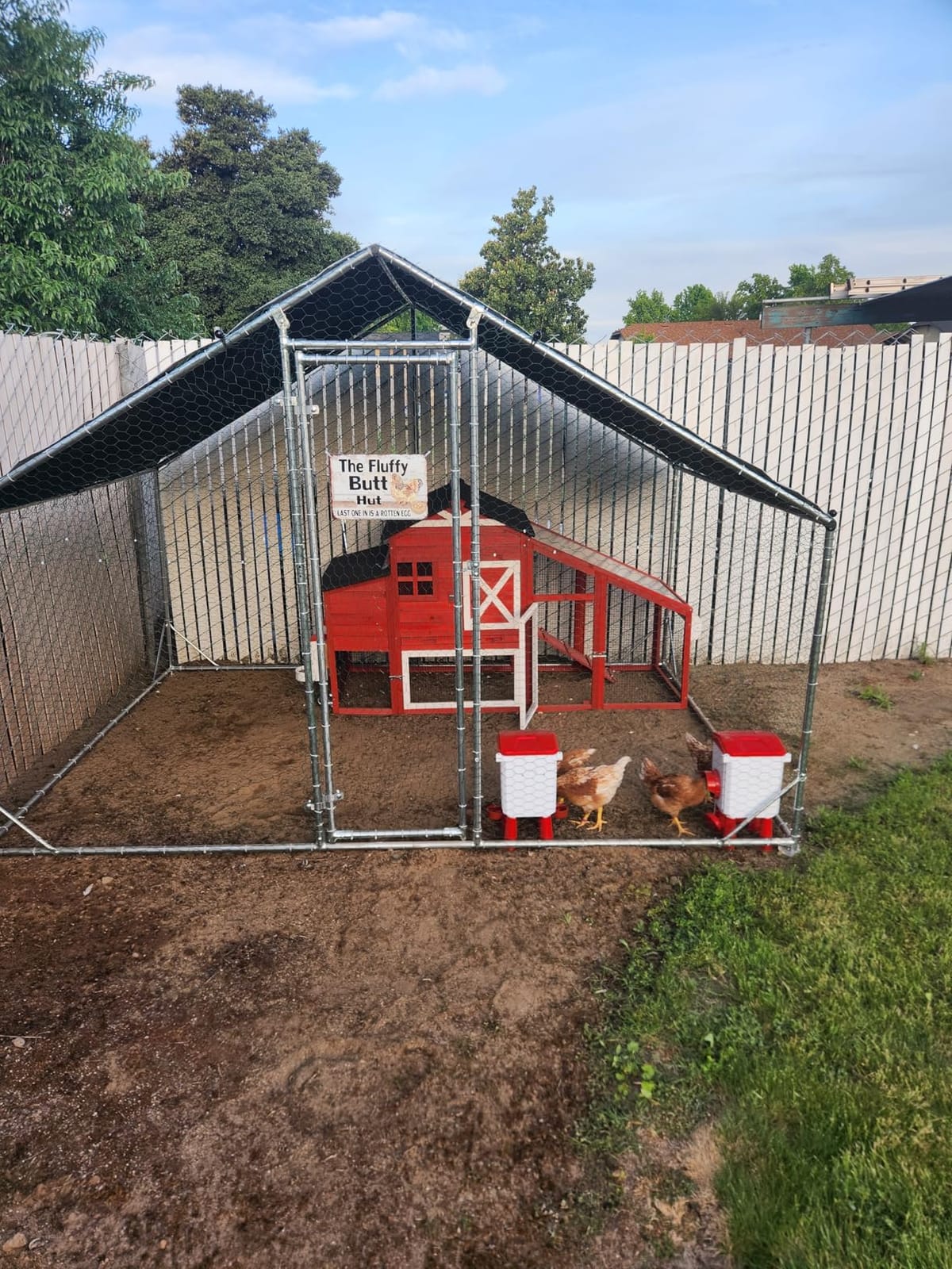 Chicken Coop with Wheels Wooden Outdoor Chicken House Easy Cleaning with Nesting Box, Deeper Leakproof Pull-Out Tray and UV Proof Panel Roof - Reinforced Version - Red customer photo 2