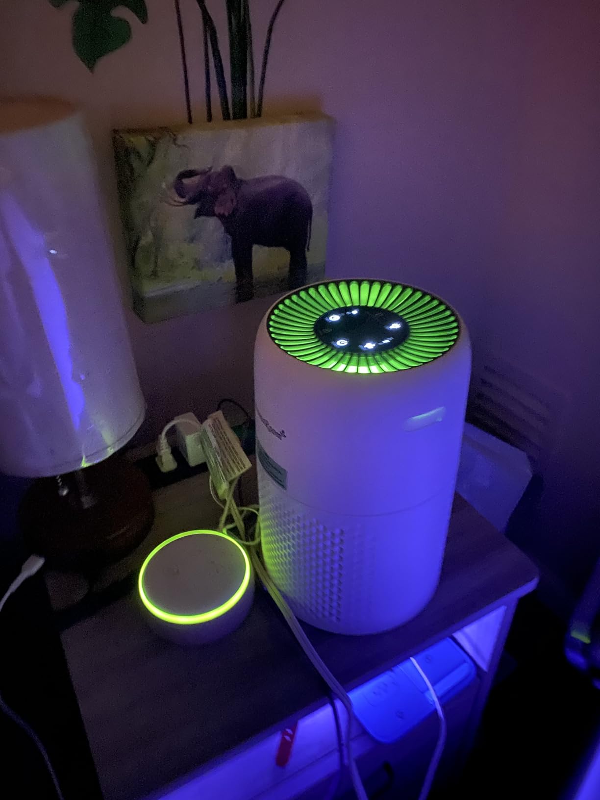 AromaRoom AP103-A customer photo 1