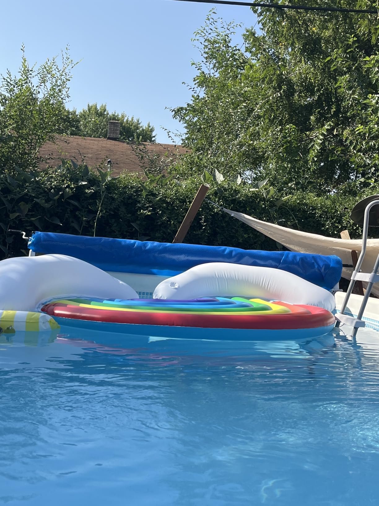 Solar Pool Cover 18 Ft Round,10Mil Blue customer photo 1