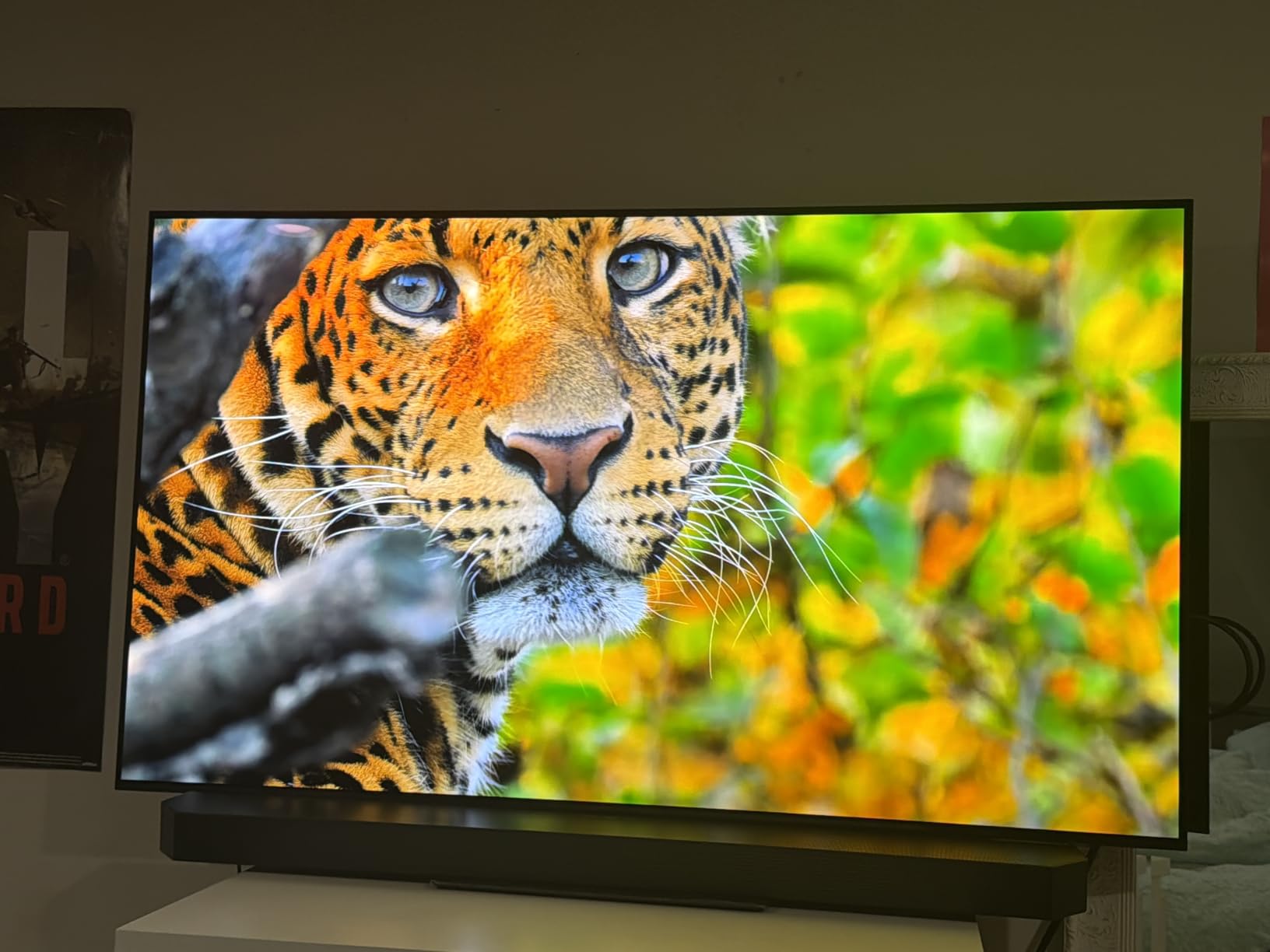 Samsung S90F 55-Inch customer photo 2