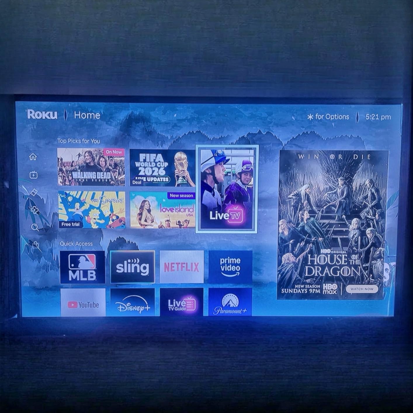 Roku Streaming Stick HD customer photo 2