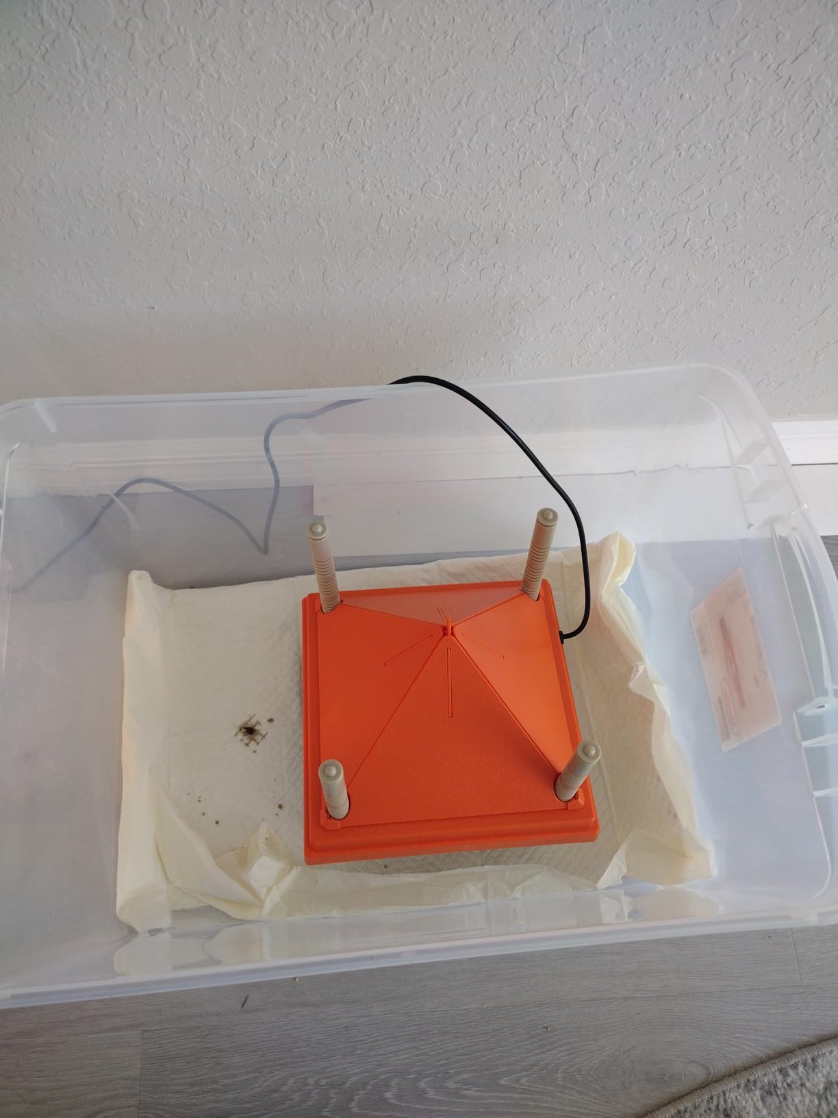 Chick Brooder Heating Plate 10