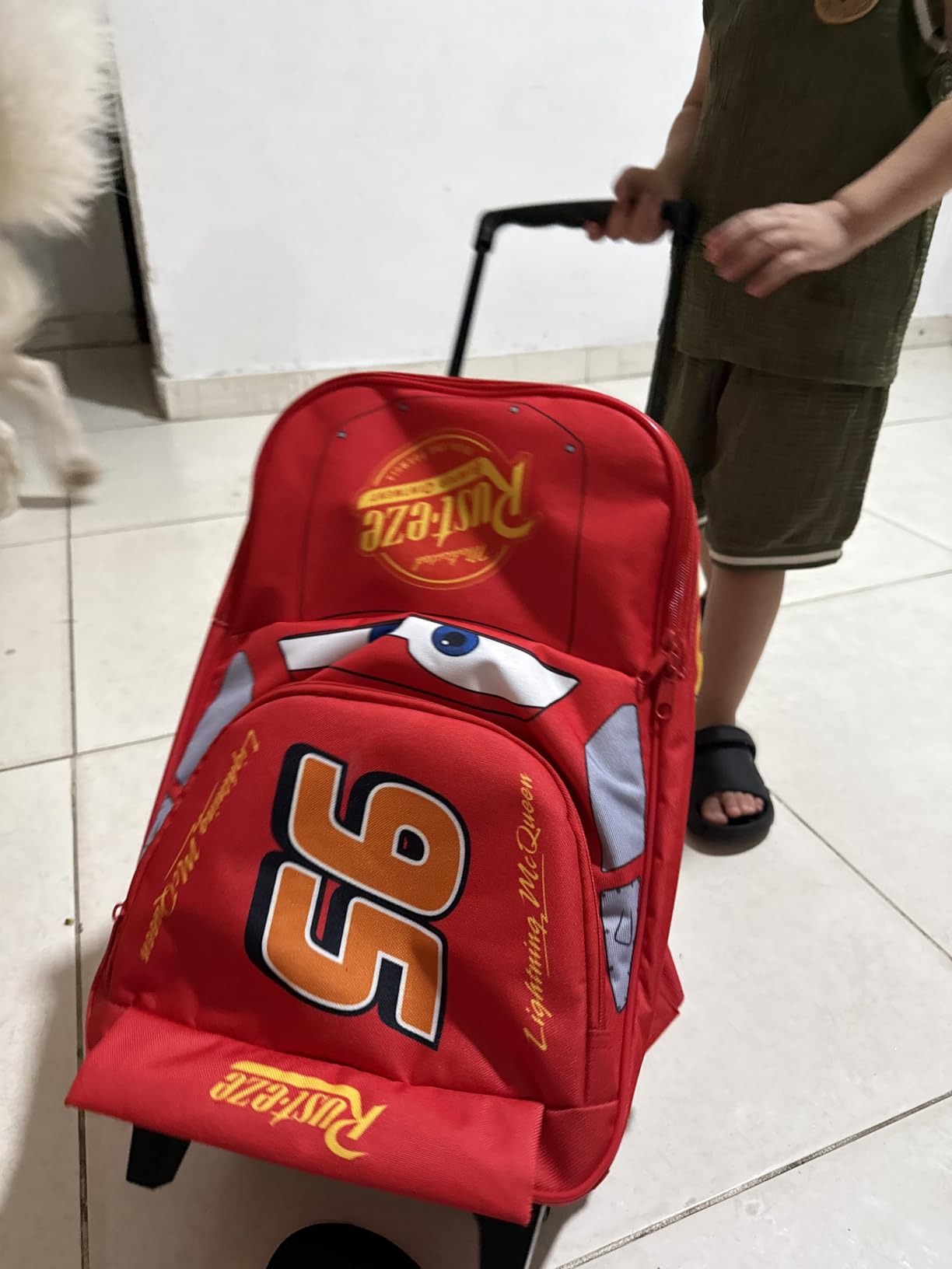 Disney Cars Lightning McQueen Carry-On Luggage with Wheels & Telescopic Handle for Kids 17”– 18.5L, Lightweight Travel Bag for Boys & Girls, Trips & Vacation Gifts customer photo 1