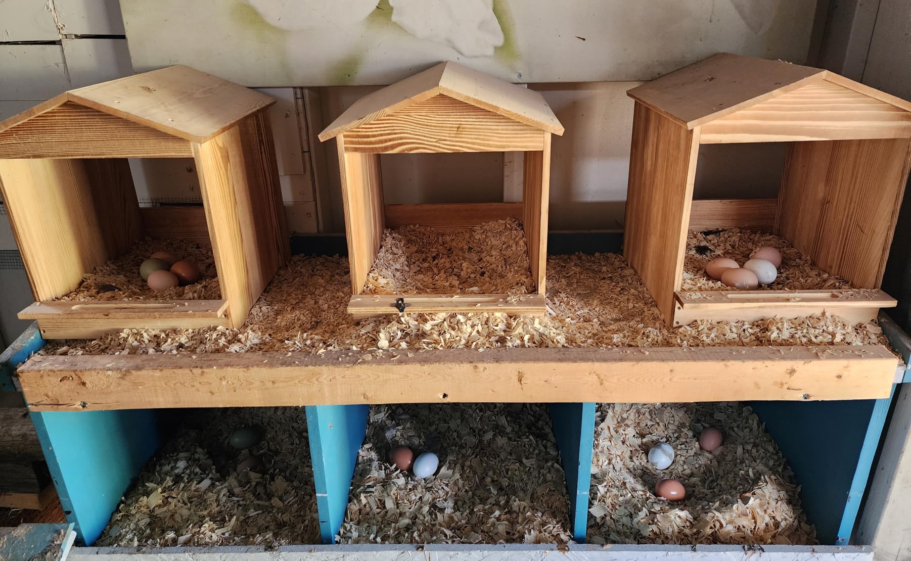 Chicken Nesting Box 3 Compartments - Wall Mount Wooden Egg Laying Nest Box for Chicken Coop, Easy to Assemble & Versatile Use for Hens, Ducks, Chickens customer photo 2