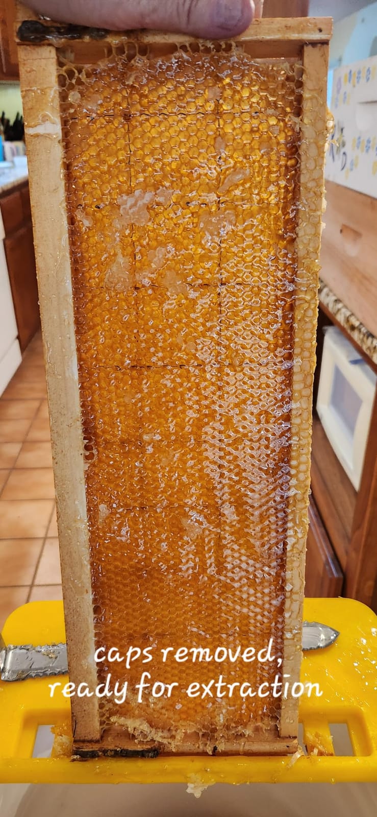 VEVOR Honey Extractor, 2 Frame Manual Honey Extractor with Transparent Lid, Stainless Steel Honeycomb Drum Spinner with Height Adjustable Stand,Honeycomb Extraction Centrifuge Equipment for Beekeeping customer photo 1