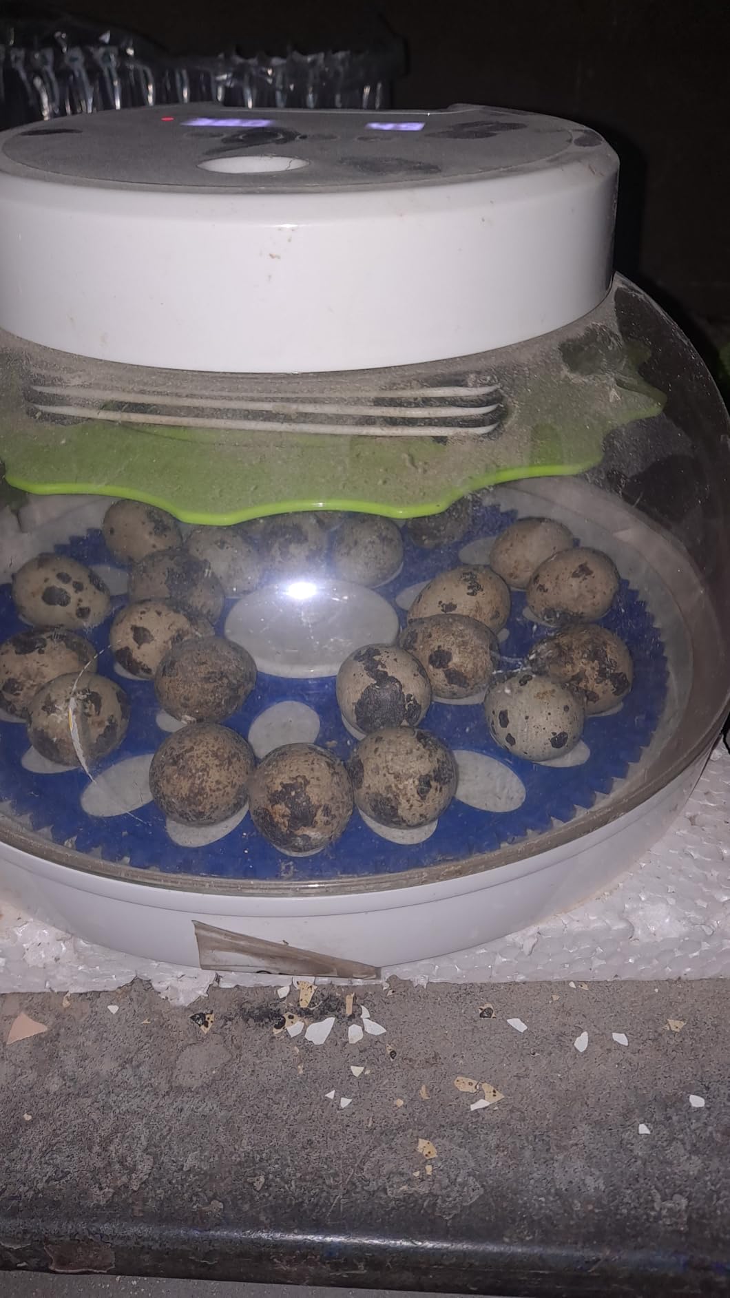 8-30 Egg Incubators for Hatching Eggs, Chicken Egg Incubator with Automatic Egg Turning, Temperature Control & Humidity Display, Egg Candler, Incubator for Chicken, Duck, Quail, Bird, 2 Egg Trays customer photo 1