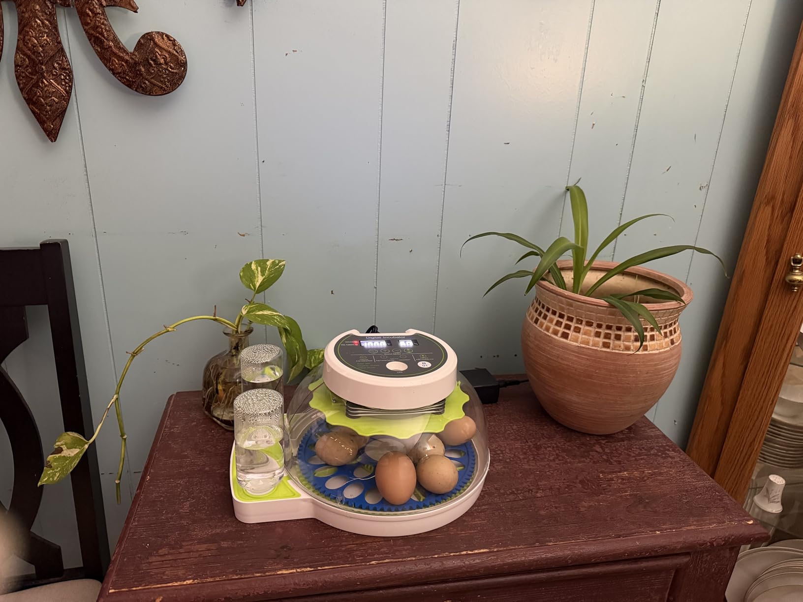 8-30 Egg Incubators for Hatching Eggs, Chicken Egg Incubator with Automatic Egg Turning, Temperature Control & Humidity Display, Egg Candler, Incubator for Chicken, Duck, Quail, Bird, 2 Egg Trays customer photo 2
