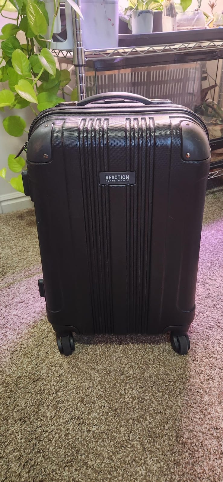 Kenneth Cole REACTION Out of Bounds Lightweight Hardshell 4-Wheel Spinner Luggage, Lavender, 20-Inch Carry On customer photo 2