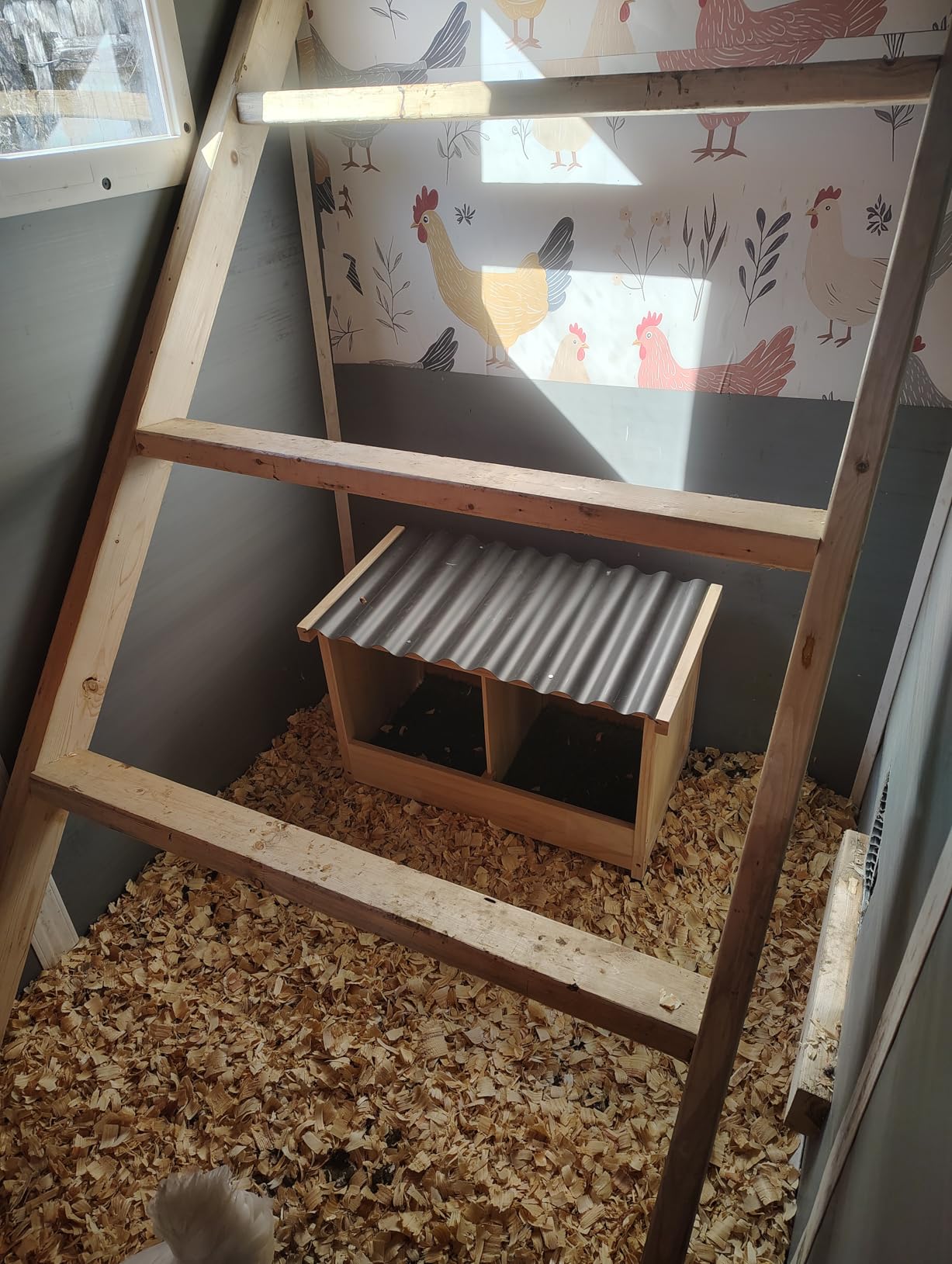 Wooden Chicken Nesting Box, Wall Mounted or Floor Use, 2 Holes customer photo 2