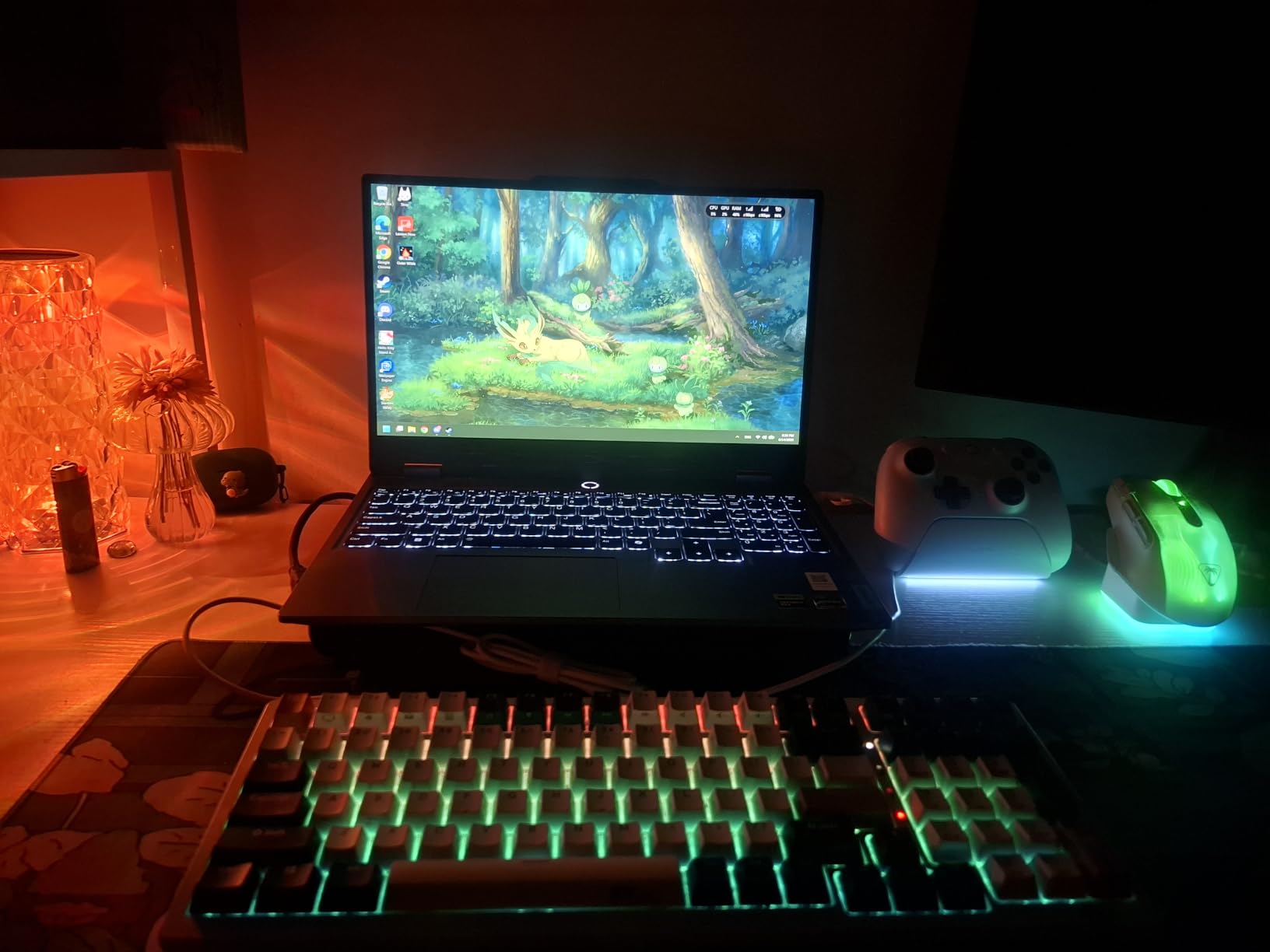 Lenovo LOQ customer photo 1