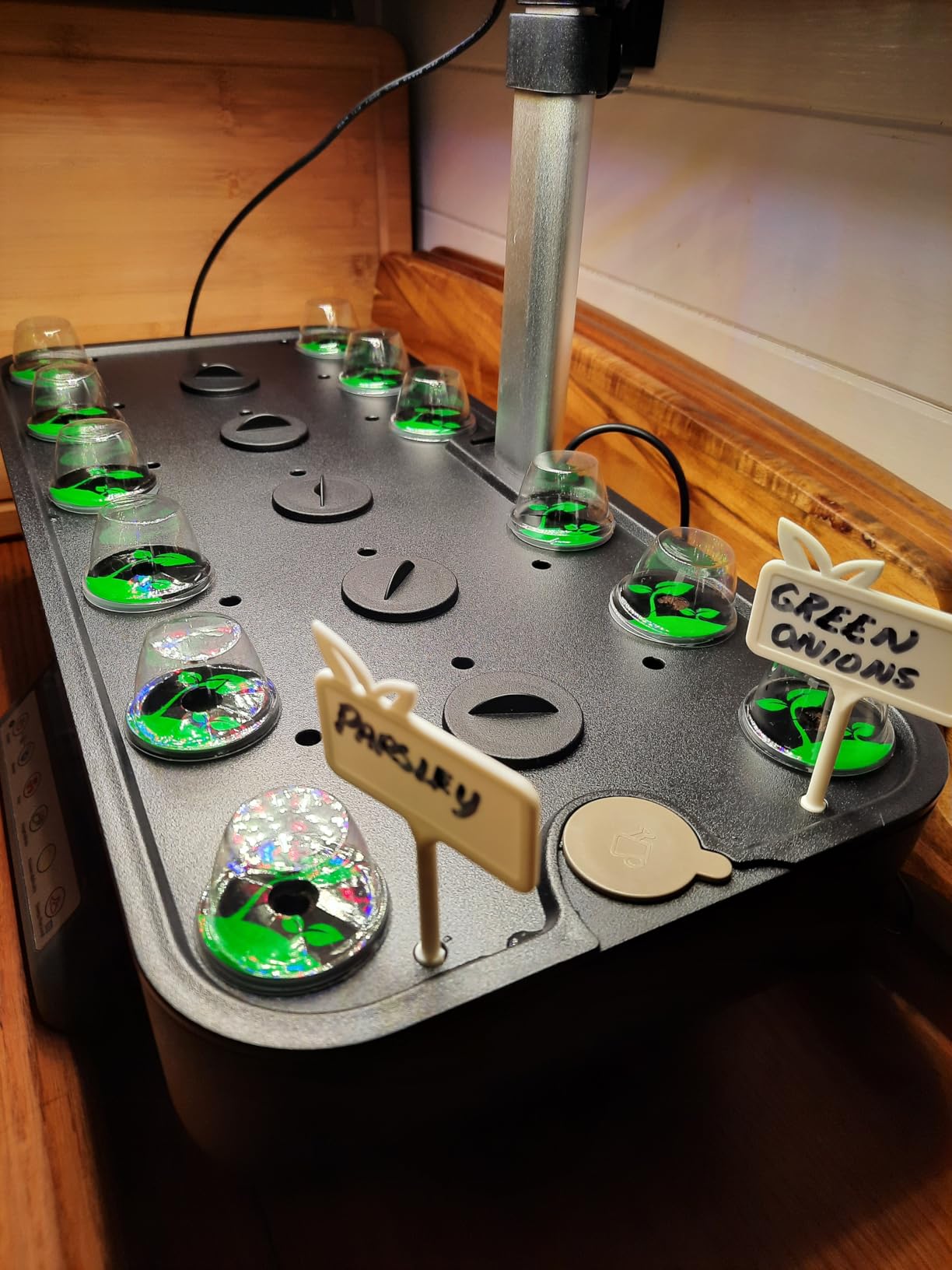 Growell 17 Pods Hydroponics Growing System Kit, Indoor Garden with 2 Fans customer photo 2