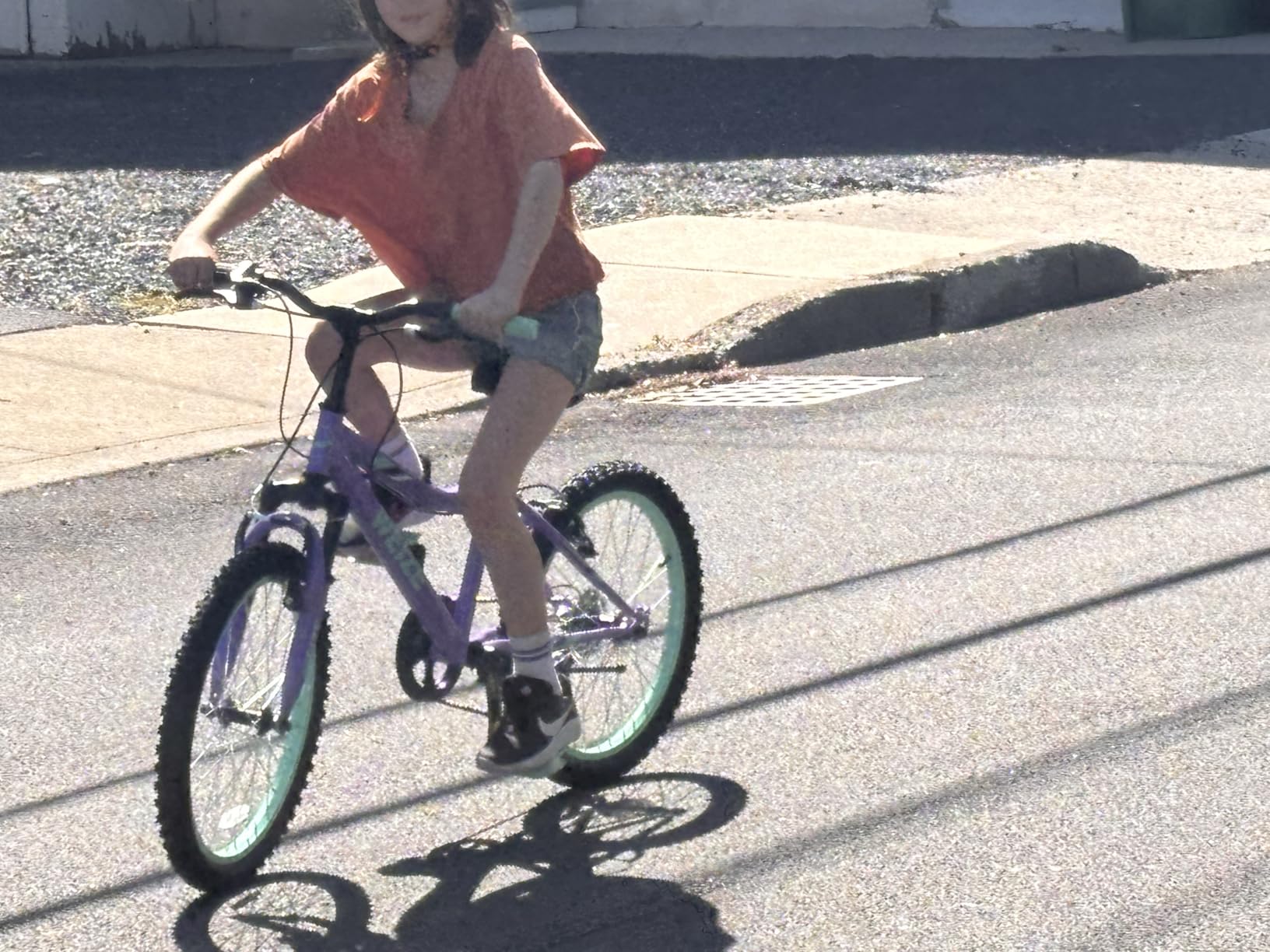 WEIZE 20 24 inch Mountain Bike Trail MTB Bicycle for Teen Girl customer photo 2