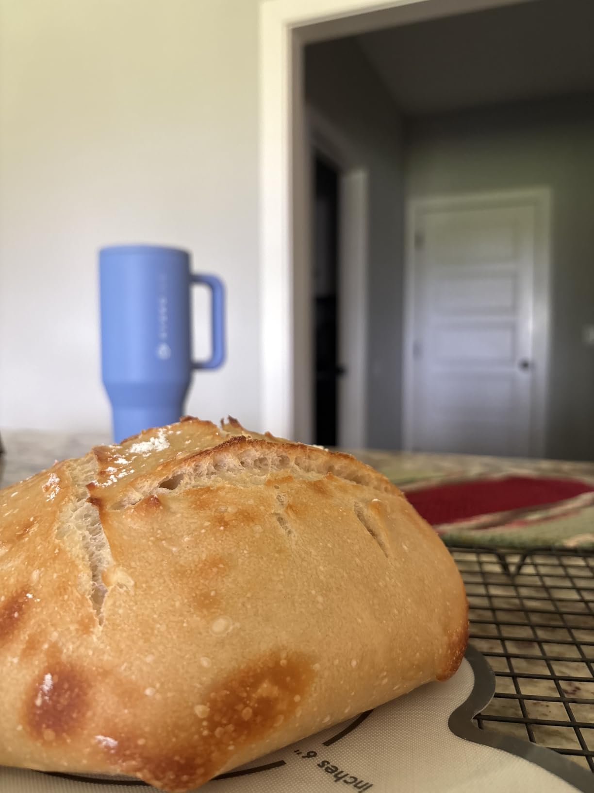 Overmont 5.5-Quart Dutch Oven customer photo 2