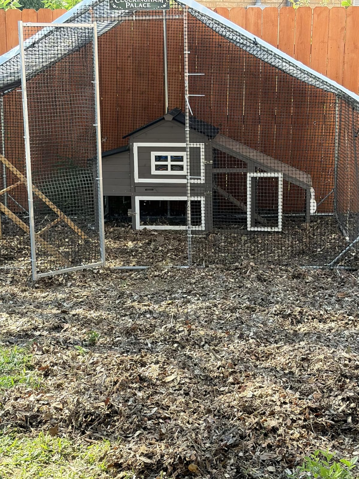GUTINNEEN Large Chicken Coop with Wheels, Expandable Mobile Outdoor Chicken House, Hen House Poultry Cage with Nesting Box, Leakproof Pull-Out Tray & UV-Resistant Roof – Brown customer photo 2