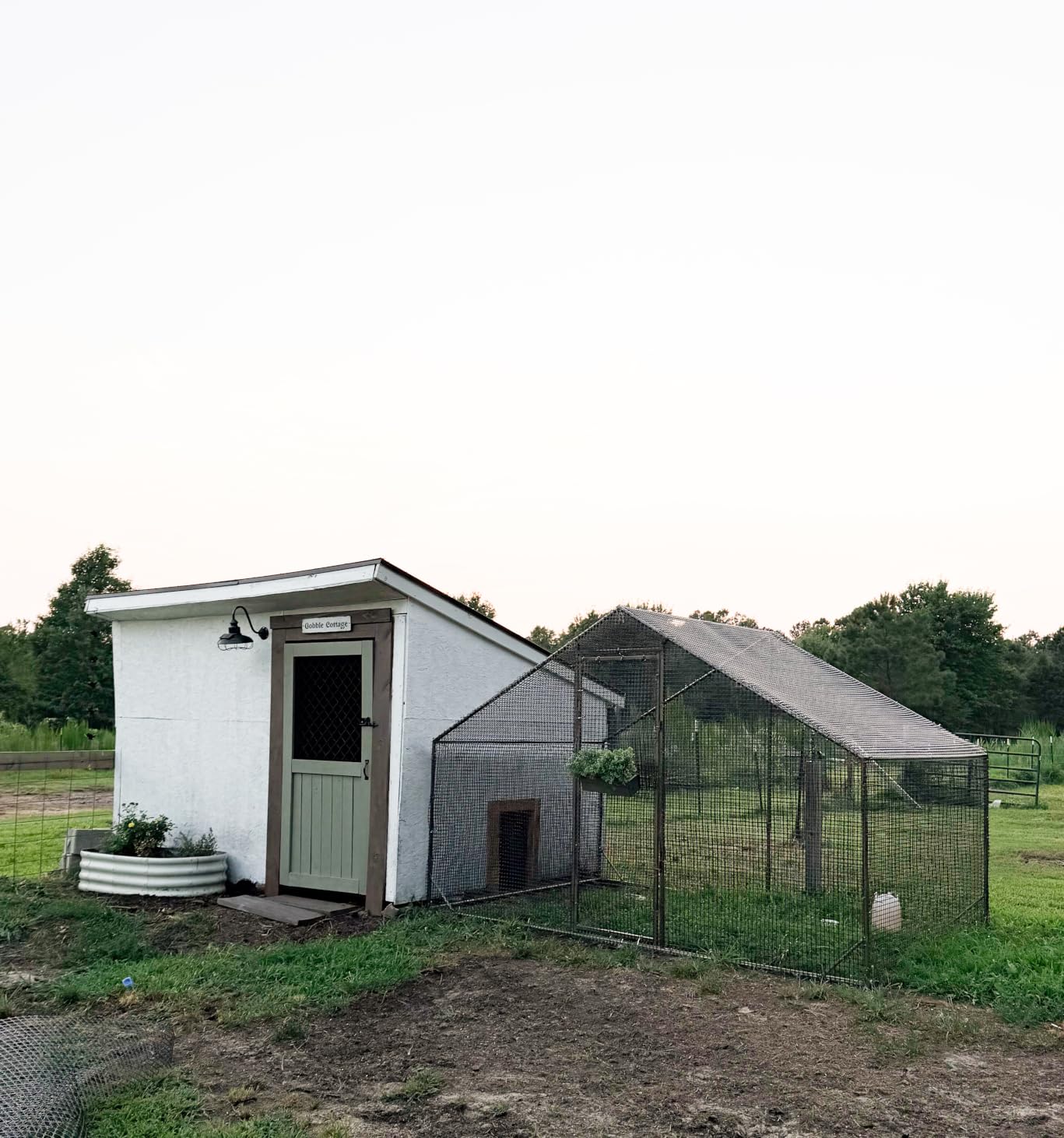 LEVELEVE Large Walk-in Chicken Coop with Chicken Run, Galvanized Poultry Enclosure with Waterproof Anti-UV Cover and Security Lock, Ideal for Rabbit, Duck, Backyard and Farm Yard,9.8'x 6.6'x 6.6' customer photo 1