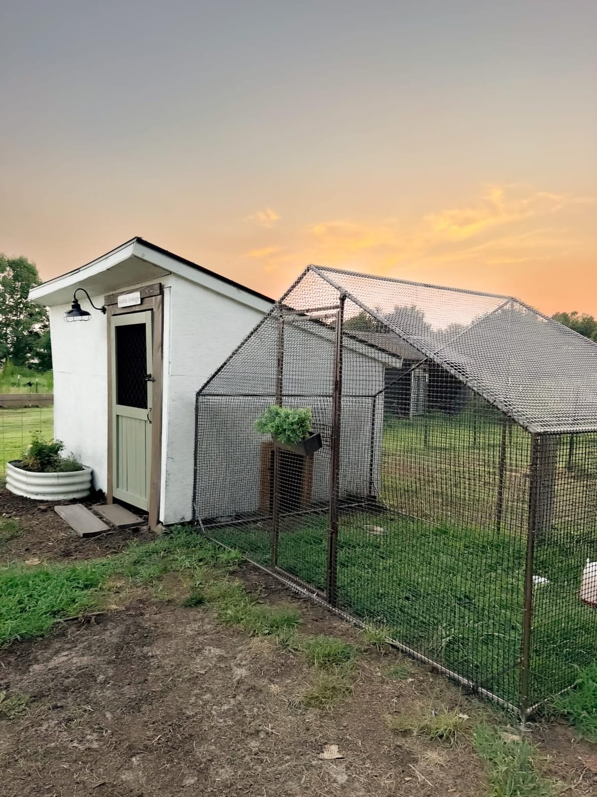 LEVELEVE Large Walk-in Chicken Coop with Chicken Run, Galvanized Poultry Enclosure with Waterproof Anti-UV Cover and Security Lock, Ideal for Rabbit, Duck, Backyard and Farm Yard,9.8'x 6.6'x 6.6' customer photo 2