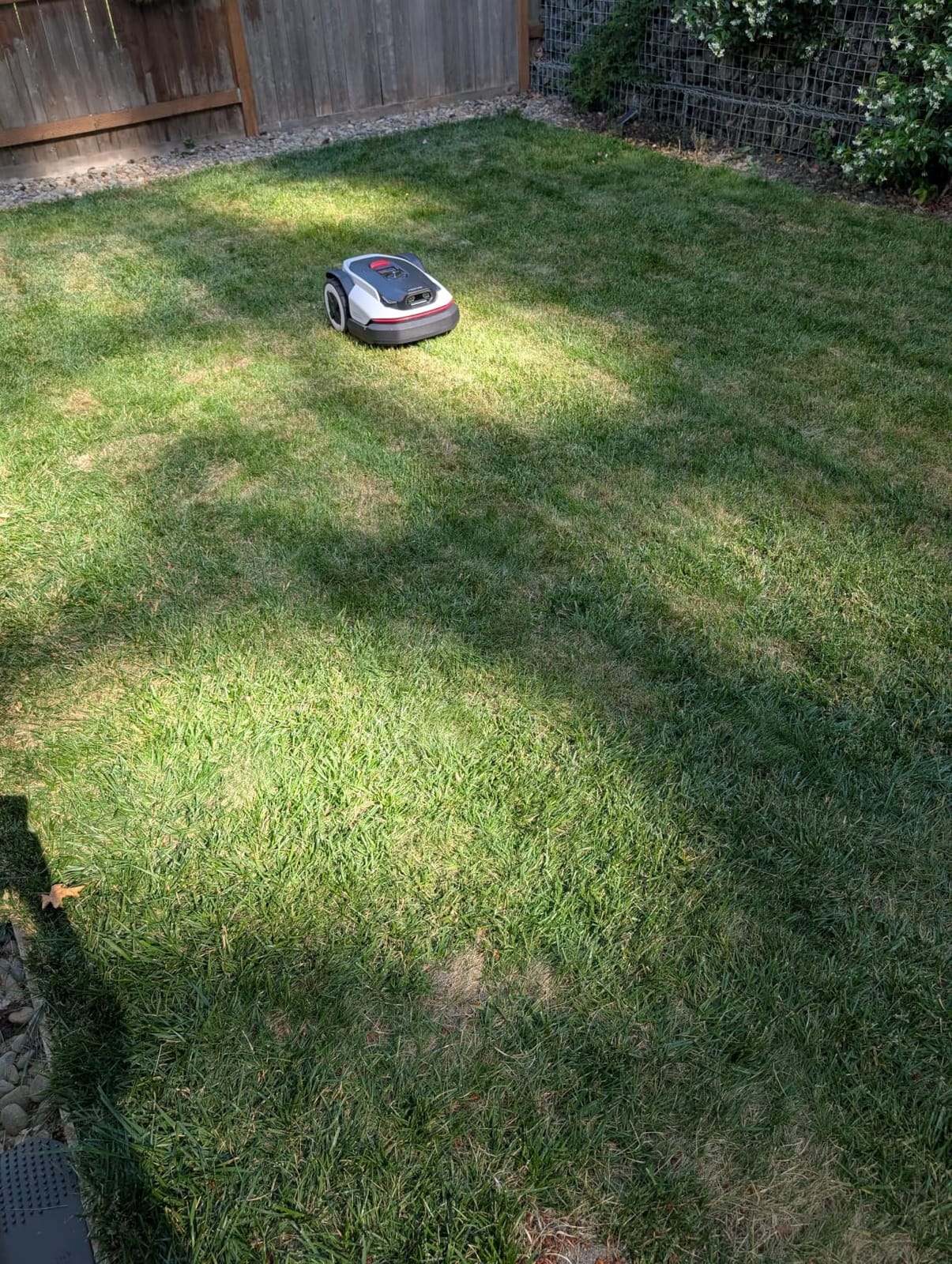 Roborock RockNeo Q110H Robot Lawn Mower, Wire-Free Robotic Lawn Mower with Full-Band RTK + VSLAM Navigation, Auto Mapping, AI Vision Obstacle Avoidance, App Control, 45% Slope, Covers Up to 1/4 Acre customer photo 2
