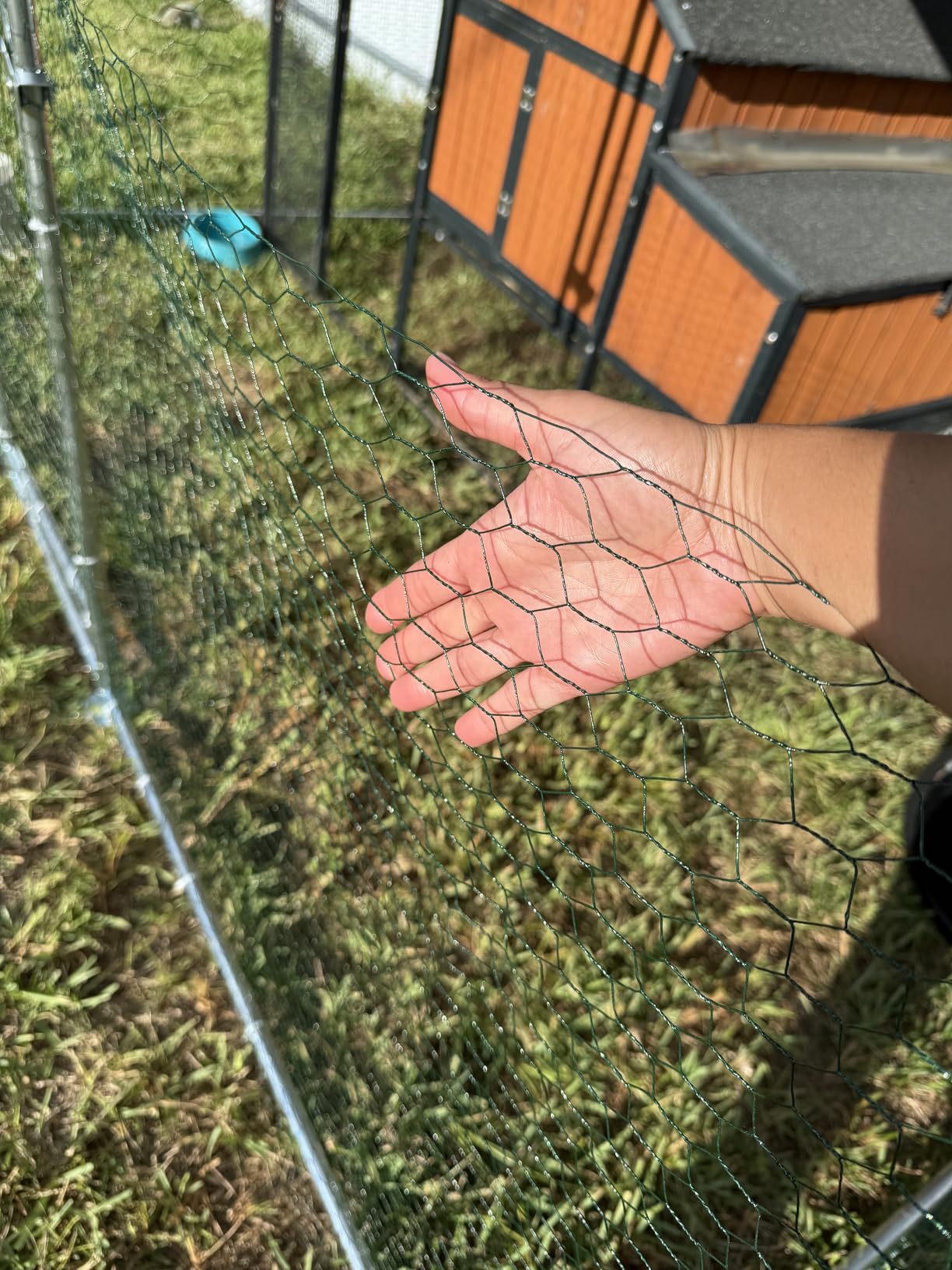 GarveeLife Large Metal Chicken Coop, Large Chicken Coop with Waterproof & Anti-UV Cover, Outdoor Chicken Run for Yard (9.8 ft L x 6.6 ft W x 6.6 ft H) customer photo 2