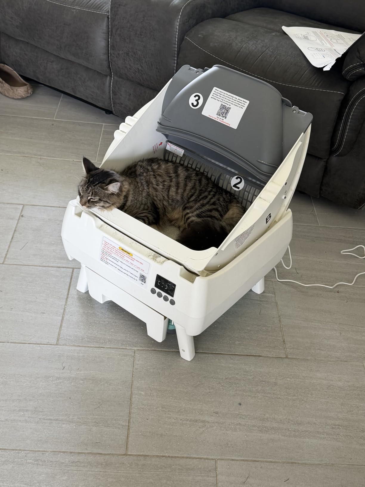 Automatic Cat Litter Box Self Cleaning - App Control, Open-Design, Smart Health Monitor, Suitable for Medium Cats and Kittens, Anti-Pinch Safety, Quiet Operation - White customer photo 2