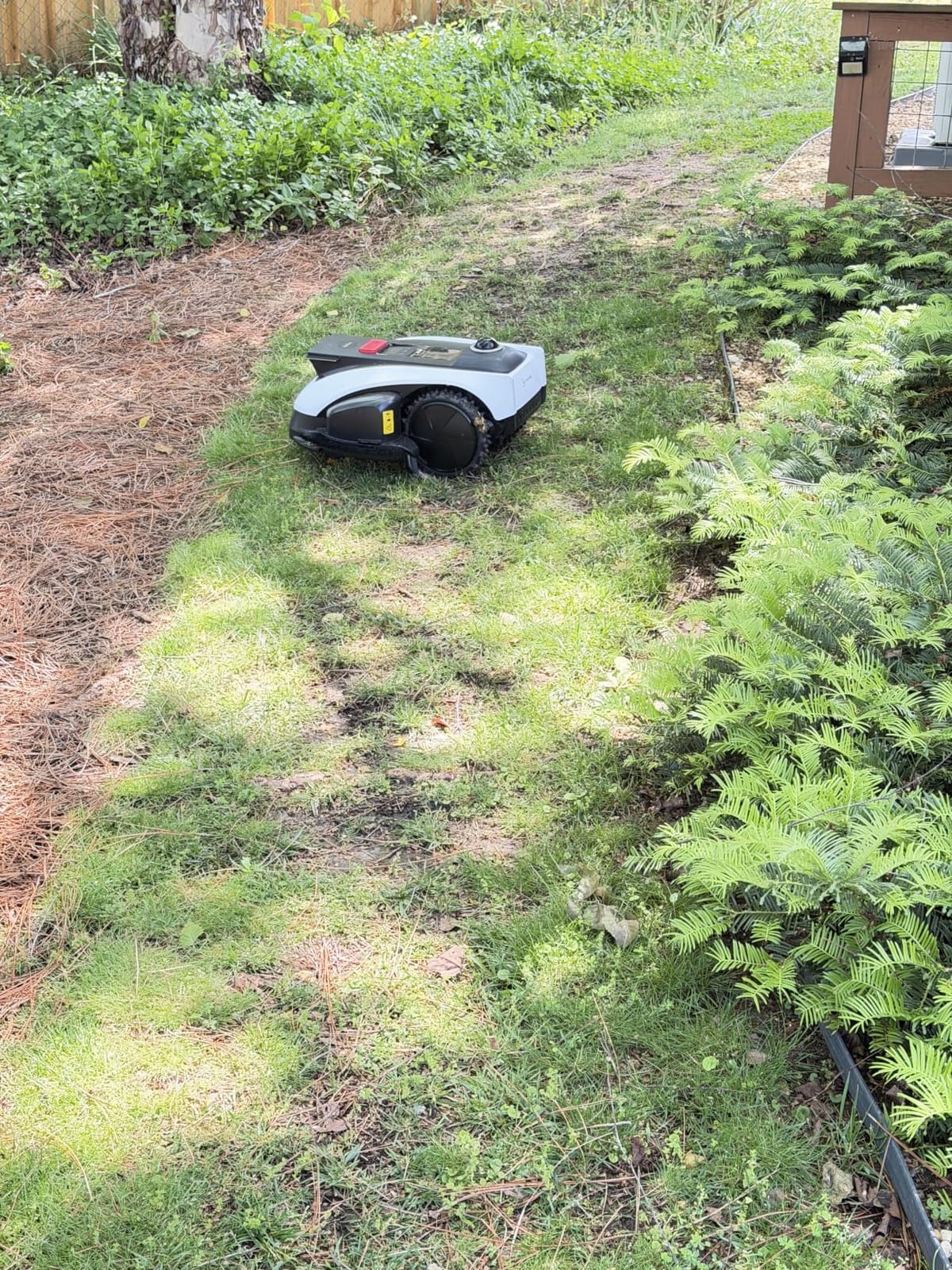 ECOVACS Goat O1000 LiDAR PRO Robot Lawn Mower, Wire-Free Robotic Lawn Mower with Dual-LiDAR Navigation, Built-in Edge Trimming, AI Obstacle Avoidance, App Control, for Lawns Up to 1/4 Acre customer photo 2