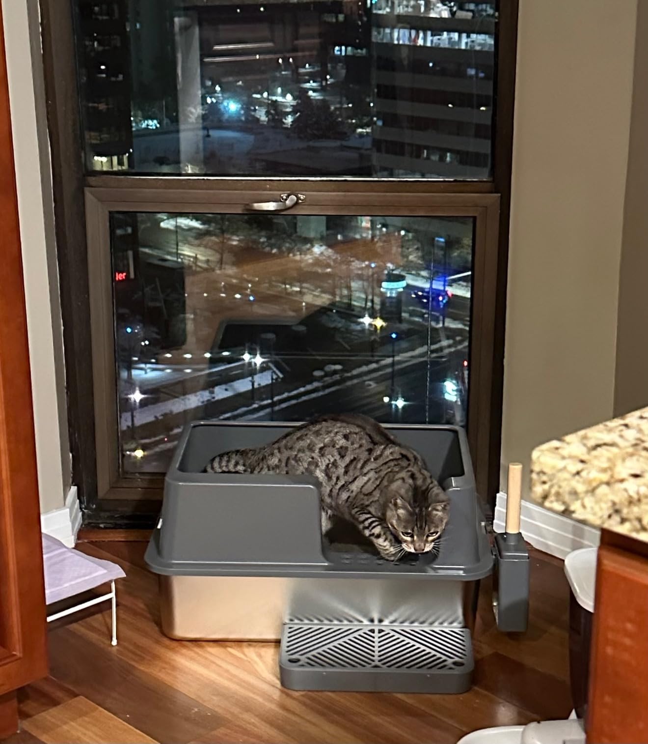 Happypaw XXXL Open-Top Automatic Self Cleaning Litter Box for Multiple Cats customer photo 2