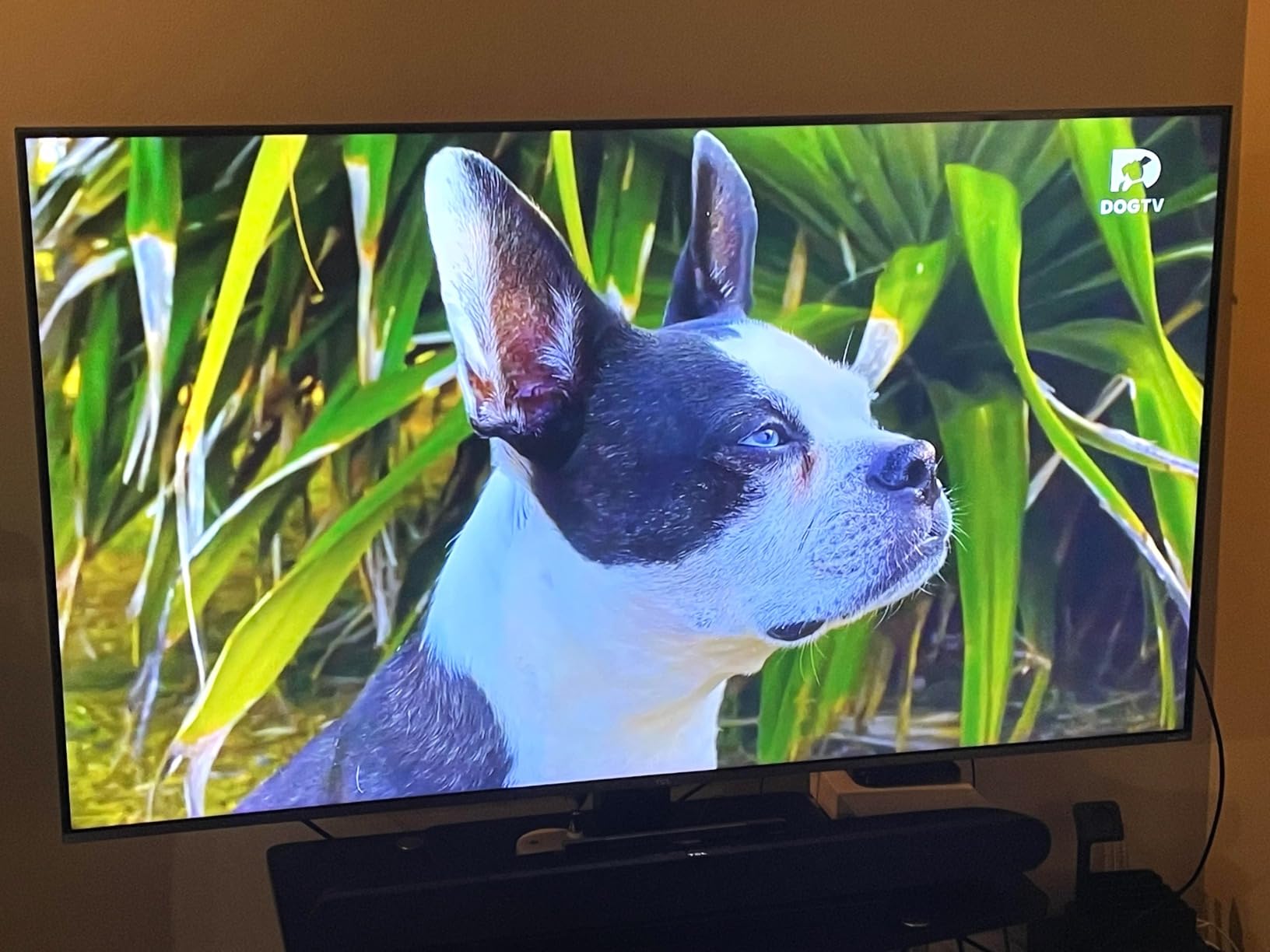 TCL 75-Inch Designer Series QD-Mini LED TV, 4K Google Smart TV, 75A400U customer photo 2