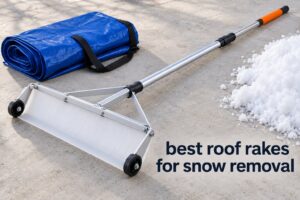 best roof rakes for snow removal