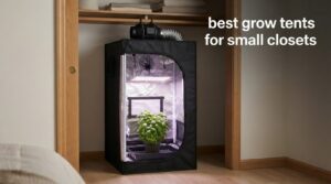best grow tents for small closets