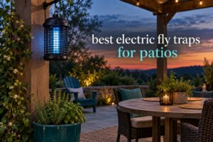best electric fly traps for patios