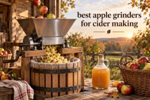 best apple grinders for cider making