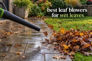 best leaf blowers for wet leaves