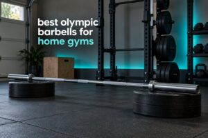 best olympic barbells for home gyms
