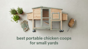 best portable chicken coops for small yards